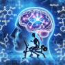 ¿Methyltrenbolone mejora el foco mental durante el ejercicio?