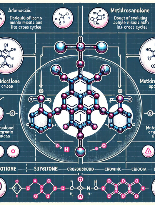 Metildrostanolona y ciclos cruzados: qué tener en cuenta