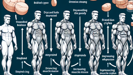 ¿Cursos de esteroides para secado y modelado corporal (aumento de masa magra) mejora la conexión mente-músculo?